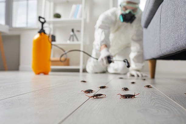 Trusted Cockroach Control service in Goodland, IN - Nex Pest Control
