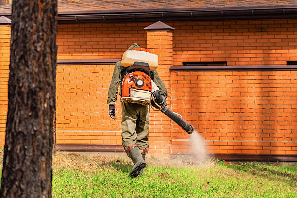 Trusted Mosquito Control service in Goodland, IN - Nex Pest Control